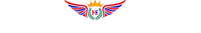 Footer Logo